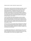 Analisis sobre aborto