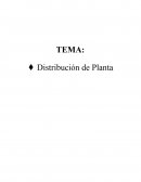 Distribucion de Planta
