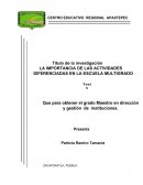 GUÍA SUGERIDA PARA LA TESIS DE MAESTRIA BUENO