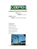 Proyecto: Aerogenerador eólico