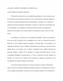 ANÁLISIS 1: DISEÑO Y DESARROLLO CURRICULAR.