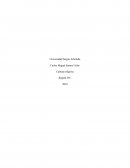 El Ruido y la Furia, el Lenguaje y la Fe