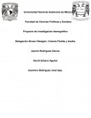 El impacto de la migración en las estructuras sociodemográficas en Álvaro Obregón.