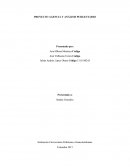 PROYECTO AGENCIA Y ANÁLISIS PUBLICITARIO