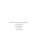 Ámbito de las Finanzas – Análisis y Control Financiero