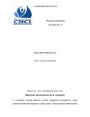 CDefinición del producto de la compañía