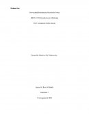 Desarrollo historico Walmart