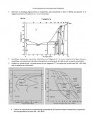 CUESTIONARIO DE TRATAMIENTOS TÉRMICOS