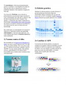 El conocimiento evoluciona permanentemente gracias a científicos e investigadores