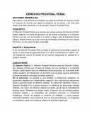 Derecho Procesal Penal-Generalidades