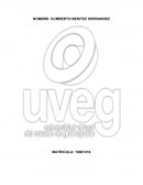 IMPACTO DE LA INGENIERIA INDUSTRIAL