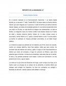 REPORTE DE LA MANZANA 17
