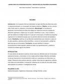 LABORATORIO DE ESTEREOMICROSCOPIA Y MICROSCOPÍA EN PEQUEÑOS ORGANISMOS