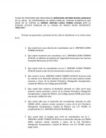 Modelo pliego de posiciones. Página 1