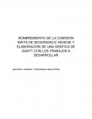NOMBREMIENTO DE LA COMISION MIXTA DE SEGURIDAD E HIGIENE Y ELABORACIÓN DE UNA GRÁFICA DE GANTT CON LOS TRABAJOS A DESARROLLAR