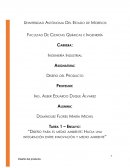 Ensayo Diseño del Producto