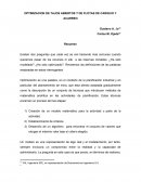 OPTIMIZACION DE TAJOS ABIERTOS Y DE FLOTAS DE CARGUIO Y ACARREO