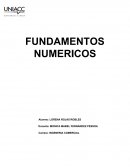 FUNDAMENTOS NUMERICOS - INGENERIA COMERCIAL