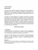 PLAN DE TRABAJO y desarrollo institucional