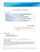 Formato Optimización de funciones