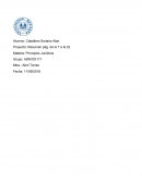 Acepciones, Organización y Sistematización Del Derecho