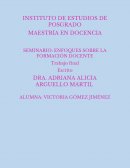 SEMINARIO: ENFOQUES SOBRE LA FORMACIÓN DOCENTE