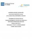 CUIDADOS ENFERMEROS A UN SUJETO DE CUIDADO CON INSUFICIENCIA RESPIRATORIA AGUDA (IRA)