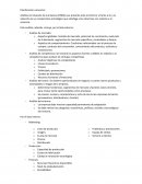 Planificación Comercial