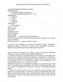 Análisis práctica 5: BACILOS GRAM NEGATIVOS EXIGENTES