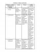 Problemas ecológicos ambientales