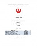 ESTRATEGIAS Y TACTICAS DE PRECIOS