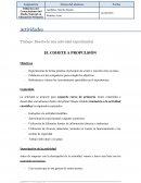 Diseño de una actividad experimental