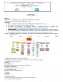 Uruguay y Ptor. David A. Fuertes