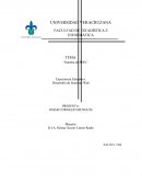 Documento “Sistema de PDFs”