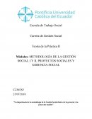 Ensayo Proyectos Sociales