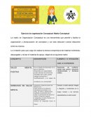 Ejercicio de organización Conceptual: Matriz Conceptual