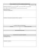 Desarrollo en la tecnologia, en los social y humanista