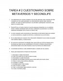 Metaversos y Second Life - Victor Goris