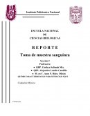 Toma de muestra sanguínea