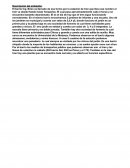 Descripción del ambiente de ing brian