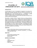 Pràctica de laboratorio extracciòn del ADN