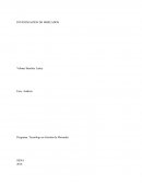 Programa: Tecnólogo en Gestión de Mercados