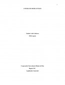 MAPA CONCEPTUAL COMERCIANTES