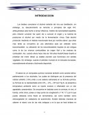 Obtencion de Bioetanol a partir de la Caña de Azucar