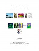 INTERNATIONAL NEGOTIATIONS (INT660)