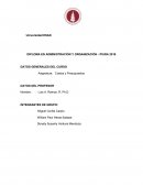 DIPLOMA EN ADMINISTRACIÓN Y ORGANIZACIÓN - PIURA 2018