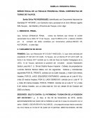 MODELO DE DENUNCIA PENAL POR ABUSO DE AUTORIDAD