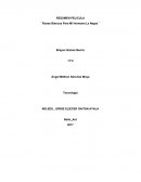 Rosas blancas para mi hermana negra