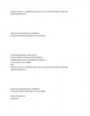 PROYECTO DE LA IMPORTANCIA DE LOS ELEMENTOS DEL PROCESO ADMINISTRATIVO