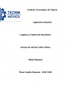 Ensayo de opinión sobre videos